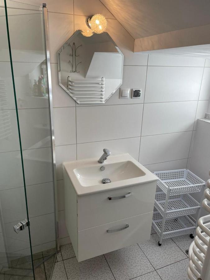 Hacjenda - Domek Caloroczny Krasnobród エクステリア 写真